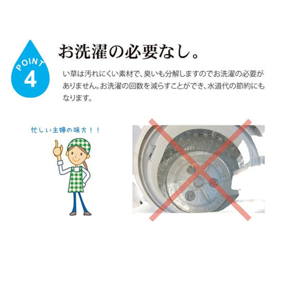 純国産 い草のシーツ（寝ござ） 『白水』 シングル約88×180cm（熊本県八代産イ草使用） 送料無料