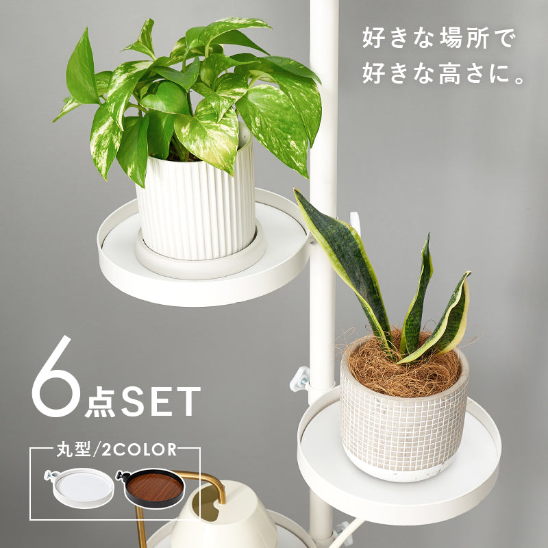 突っ張り棒 パーツ 6点セット 丸型 収納家具 本棚 オシャレ ディスプレイ 突っ張りタイプ ポールラック 賃貸