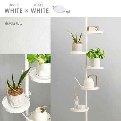 突っ張り棒 パーツ 6点セット 丸型 収納家具 本棚 オシャレ ディスプレイ 突っ張りタイプ ポールラック 賃貸
