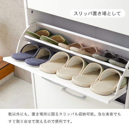 シューズラック 玄関 収納家具 押入れ収納 収納 フラップ扉式 容量収納タイプ フラップ 奥行 容量 タイプ