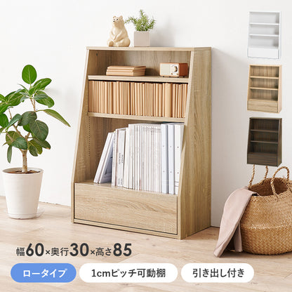 ブックラック 本棚 収納家具 ラック 収納 1cmピッチ ピッチ 棚板 調節 広い 奥行 引出し 日用 幅60cm おしゃれ