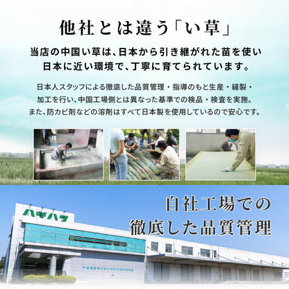 畳付き収納スツール チェア 椅子 天然い草 収納スペース 使用 小上がりスペース ユニット畳 複数 おしゃれ