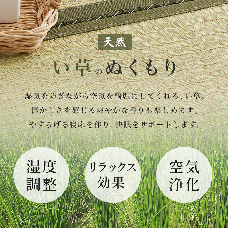 組立簡単 畳シングルベッド ネジなし 工具 天然い草 畳マット すのこベッド 使用 セミダブル クイーン 天然木