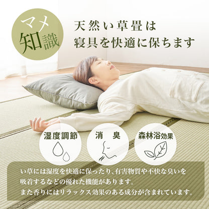 組立簡単 畳シングルベッド ネジなし 工具 天然い草 畳マット すのこベッド 使用 フォン 充電 ライト 取り付け