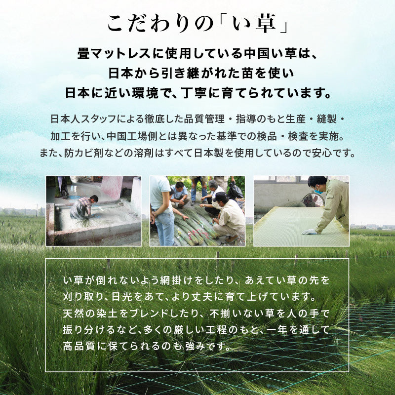 組立簡単 畳シングルベッド ネジなし 工具 天然い草 畳マット すのこベッド 使用 フォン 充電 ライト 取り付け