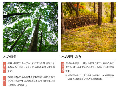 組立設置付き 天然木　ウォールナット無垢材　ハイバックチェア　ダイニング Virgo バルゴ ベンチ 2P 送料無料