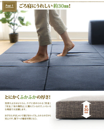 年中清潔 フロアソファになる洗えるクッションラグ 大 250×174cm 送料無料