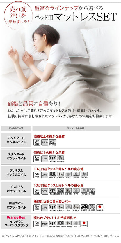 【新商品】組立設置付き 棚・コンセント付きデザインすのこベッド Reister レイスター ベッドフレームのみ ダブル 送料無料