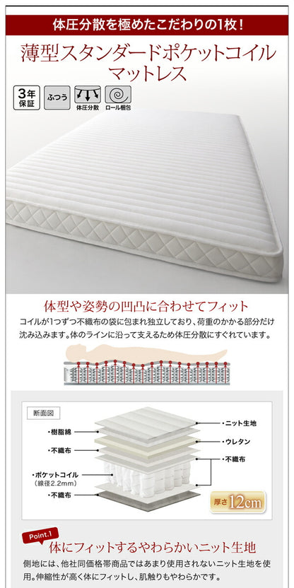 【新商品】組立設置付き 衣装ケースも入る大容量デザイン収納ベッド SCHNEE シュネー 薄型プレミアムボンネルコイルマットレス付き 引出し2杯 セミダブル 送料無料