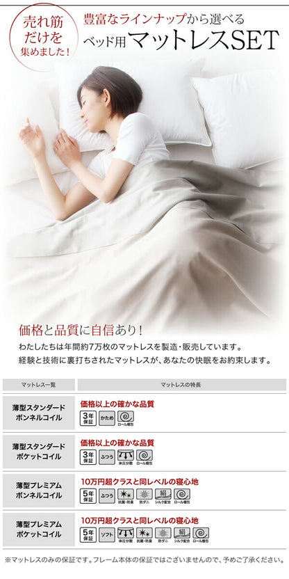 【新商品】衣装ケースも入る大容量デザイン収納ベッド SCHNEE シュネー ベッドフレームのみ 引出し2杯 シングル 送料無料