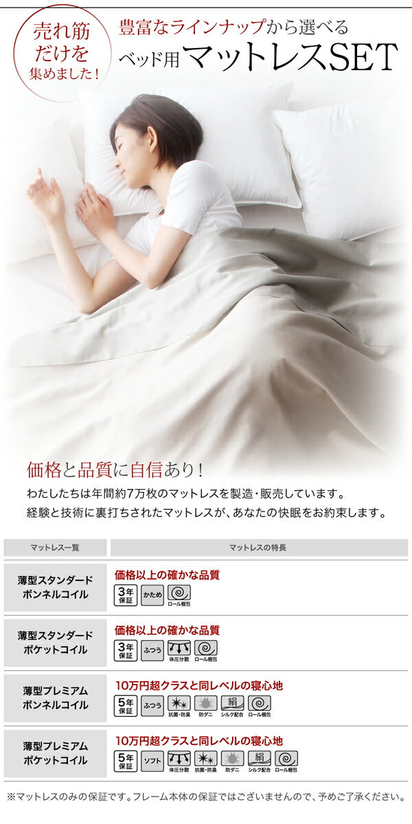 【新商品】組立設置付き 衣装ケースも入る大容量デザイン収納ベッド SCHNEE シュネー ベッドフレームのみ 引き出しなし セミダブル 送料無料