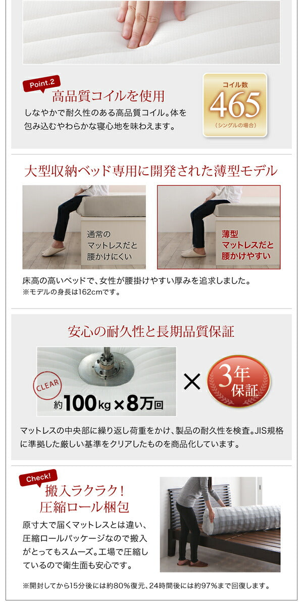 【新商品】組立設置付き 衣装ケースも入る大容量デザイン収納ベッド SCHNEE シュネー 薄型スタンダードポケットコイルマットレス付き 引出し2杯 シングル 送料無料