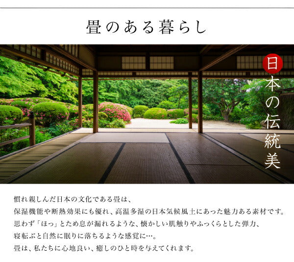 お客様組立 美草・日本製 小上がりにもなるモダンデザイン畳収納ベッド 花水木 ハナミズキ ワイド 40mm厚 セミダブル 送料無料