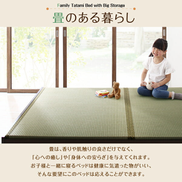 お客様組立 日本製・布団が収納できる大容量収納畳連結ベッド 陽葵 ひまり ベッドフレームのみ 美草畳 セミダブル 29cm 送料無料
