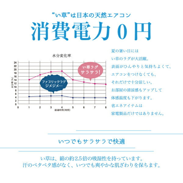【新商品】掛川織国産デザインい草ラグ　 礎 いしずえ 不織布あり 191×250cm 送料無料