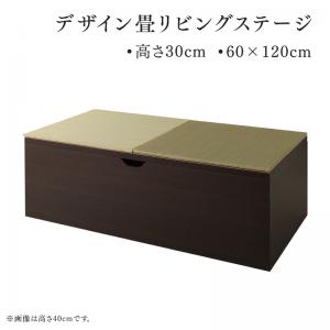 【新商品】日本製 収納付きデザイン畳リビングステージ そよ風 そよかぜ 畳ボックス収納 60×120cm ロータイプ 送料無料