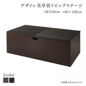 国産　収納付きデザイン美草畳リビングステージ 風凛 フーリン 畳ボックス収納 120×60cm ロータイプ 送料無料