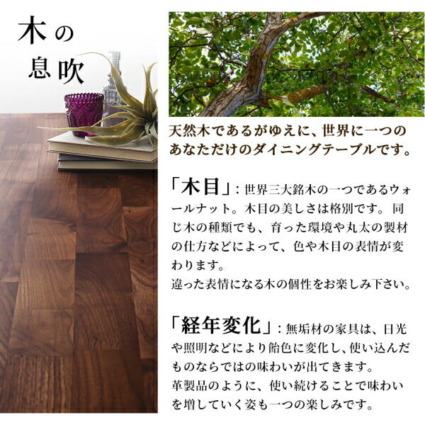 【新商品】天然木ウォールナット無垢材の高級デザイナーズダイニング The WN ザ・ダブルエヌ 5点セット(テーブル+チェア4脚) W120 送料無料
