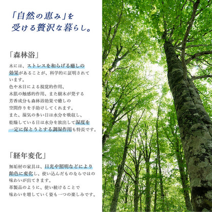 【新商品】組立設置付き 天然木ウォールナット無垢材モダンデザインダイニング shtoarl シュトール ダイニングテーブル W120 送料無料