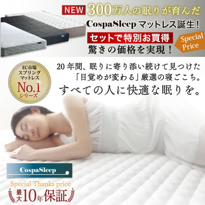 【新商品】組立設置サービス付き ベッド 棚コンセント付き ロータイプ／Skyline2 匠モデルマットレス付 ダブル 送料無料