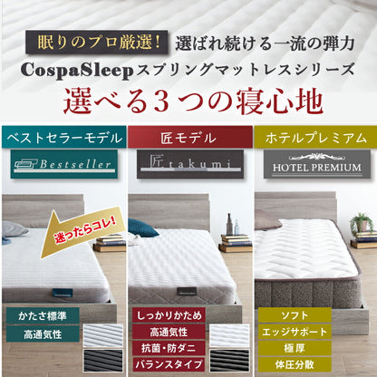 【新商品】組立設置サービス付き ベッド 棚コンセント付き ロータイプ／Skyline2 ベストセラーモデルマットレス付 ダブル 送料無料