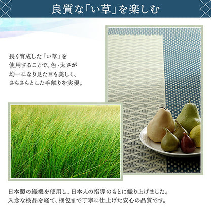 【新商品】斜め格子柄 モダンデザインい草ラグ 雅 みやび 176×250cm 送料無料