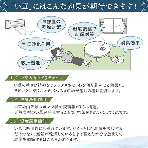【新商品】斜め格子柄 モダンデザインい草ラグ 雅 みやび 176×176cm 送料無料
