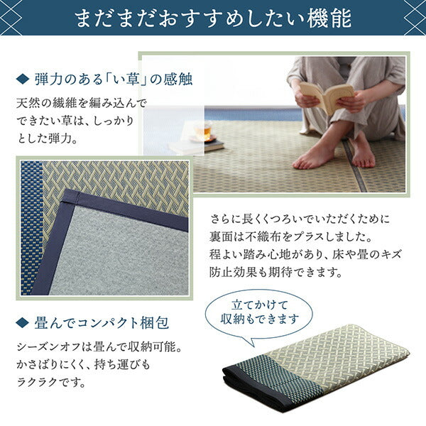 【新商品】斜め格子柄 モダンデザインい草ラグ 雅 みやび 176×250cm 送料無料