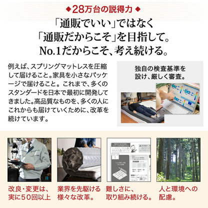 組立設置付き ベッド 棚コンセント 収納付き  Ever X エヴァー エックス ベッドフレームのみ セミダブル 送料無料
