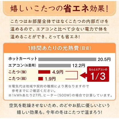 ギャッベ柄グラデーションデザインこたつ布団 Talvi タルヴィ こたつ用敷き布団 200×300cm 送料無料