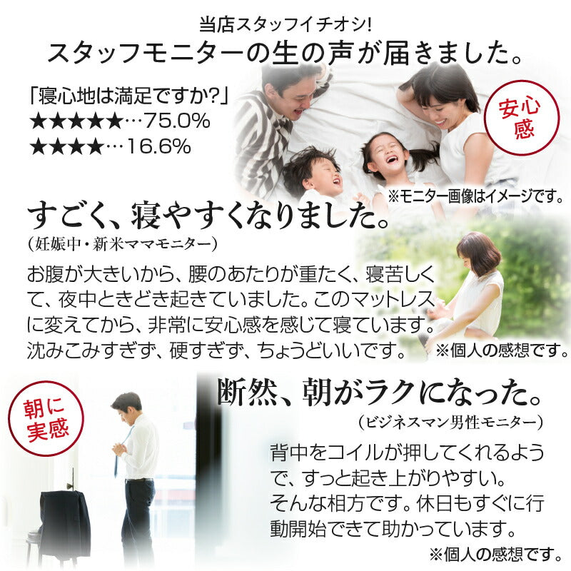 ゾーンコイルマットレス 抗菌防臭 防ダニ　高反発 硬め バランスタイプ zone-coil ダブル 送料無料