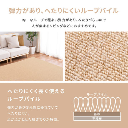 防炎加工の平織カーペット　モーエン　江戸間6帖 261×352cm 送料無料