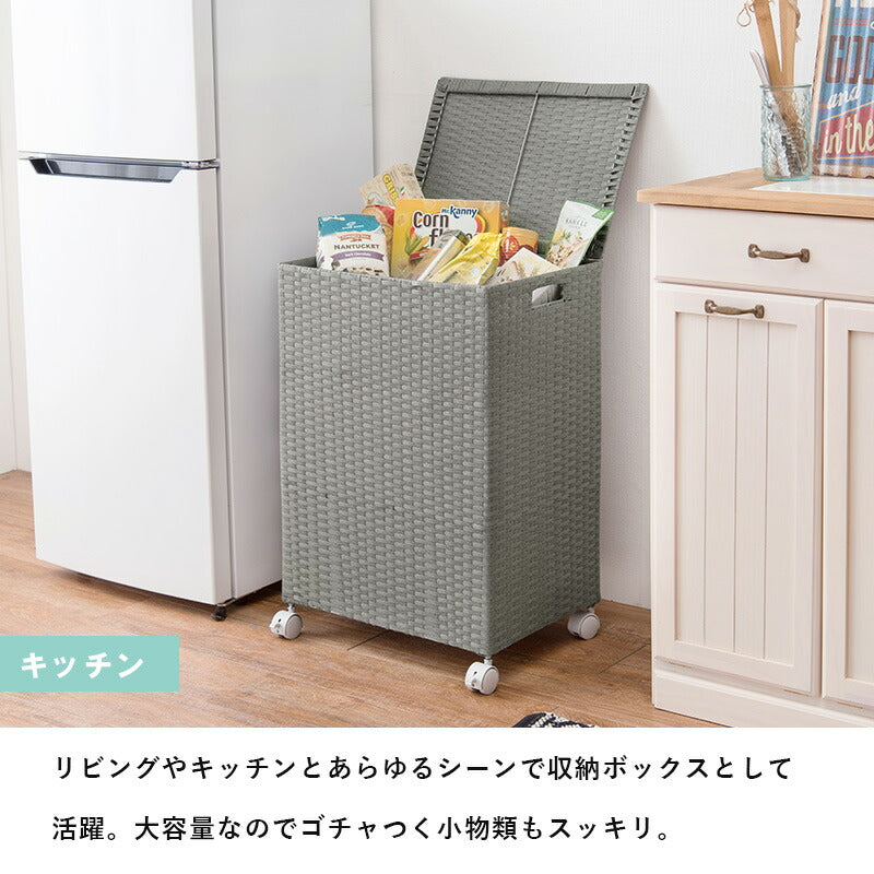キャスター付収納ボックス-RUD 43×29×58cm 送料無料