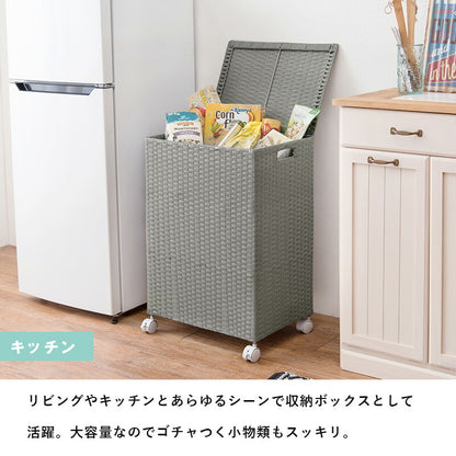 キャスター付収納ボックス-RUD 43×29×58cm 送料無料