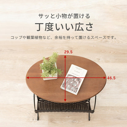 マガジンラック-RAM 46.5×29.5×53cm 送料無料