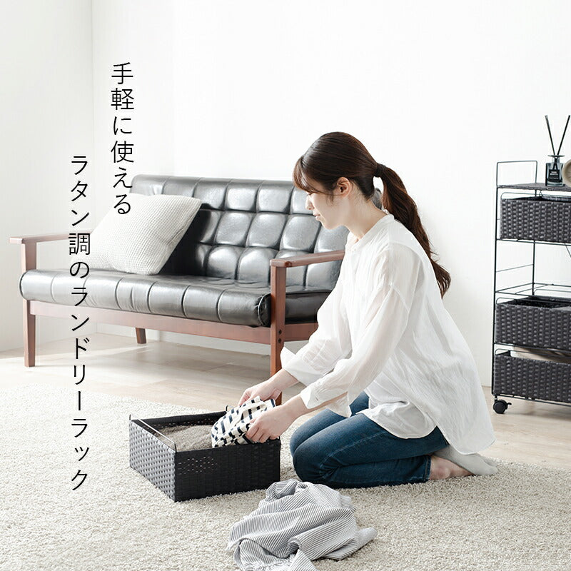 ランドリー-RAN 50×30×85cm 送料無料