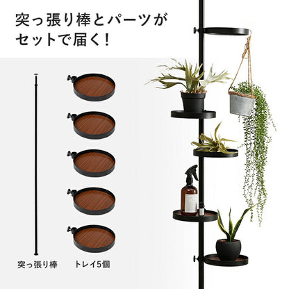 突っ張り棒＆パーツ_6点セット 丸型タイプ 43×43×187cm 送料無料