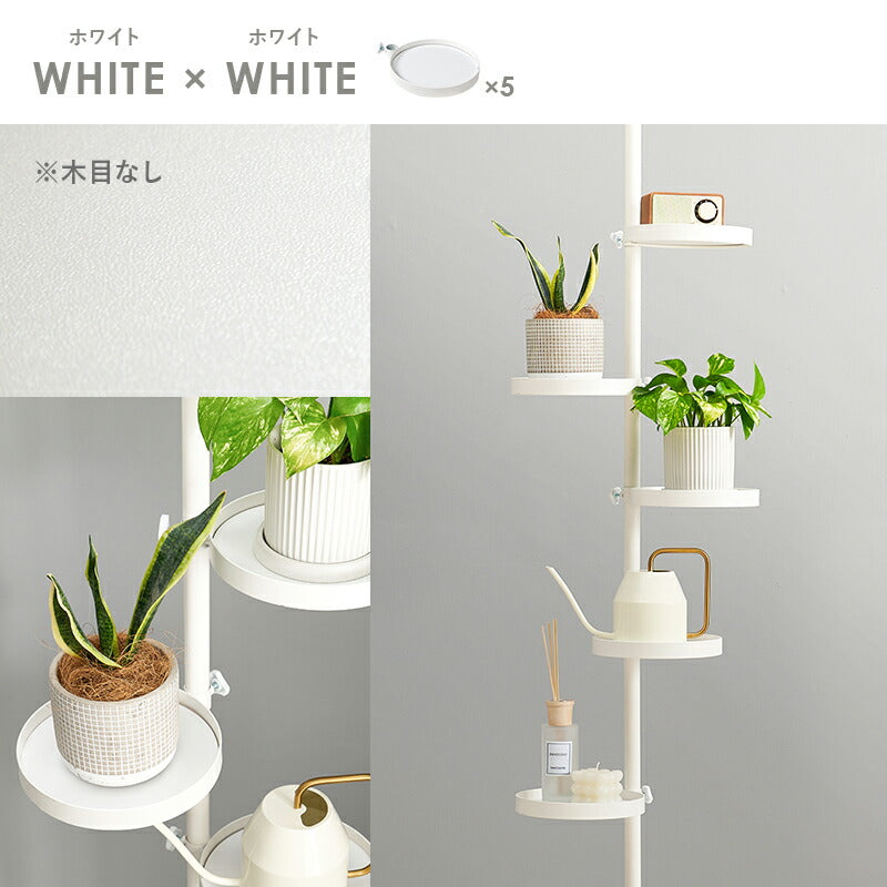 突っ張り棒＆パーツ_6点セット 丸型タイプ 43×43×187cm 送料無料
