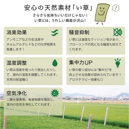 アジアンテイストの軽量置き畳 南風 6枚セット 82×82×2.5cm 送料無料