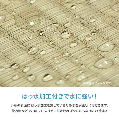 い草カーペット 白馬（はくば） 江戸間 2畳（174×174） 送料無料