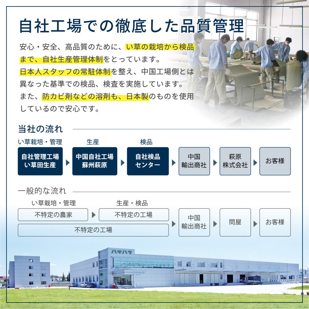 い草カーペット 白馬（はくば） 江戸間 2畳（174×174） 送料無料