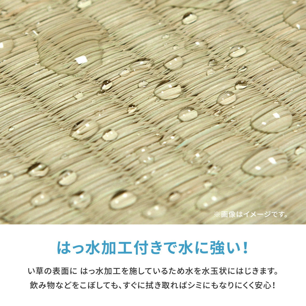 い草カーペット 白馬（はくば） 本間 10畳（382×477） 送料無料