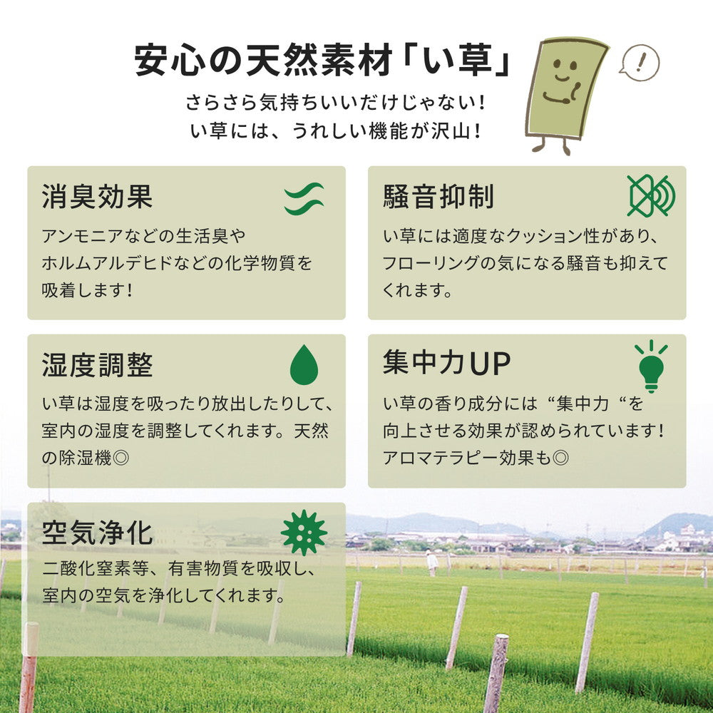 い草カーペット 柳川（やながわ） 江戸間 10帖（440×352） 送料無料