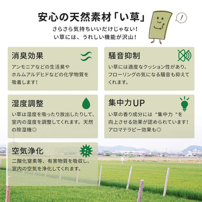 い草カーペット 柳川（やながわ） 本間 4.5帖（286×286） 送料無料