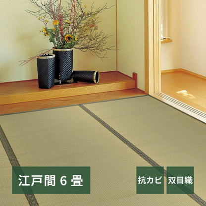 い草カーペット 柳川（やながわ） 江戸間 6帖（261×352） 送料無料