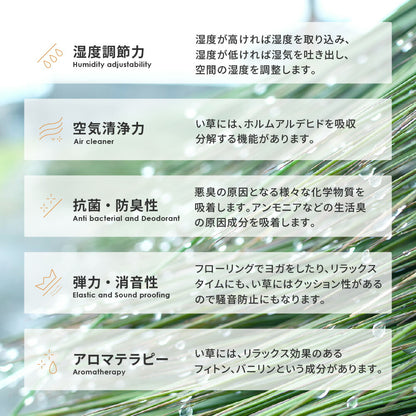 い草ラグ アステカ 直径180cm 送料無料