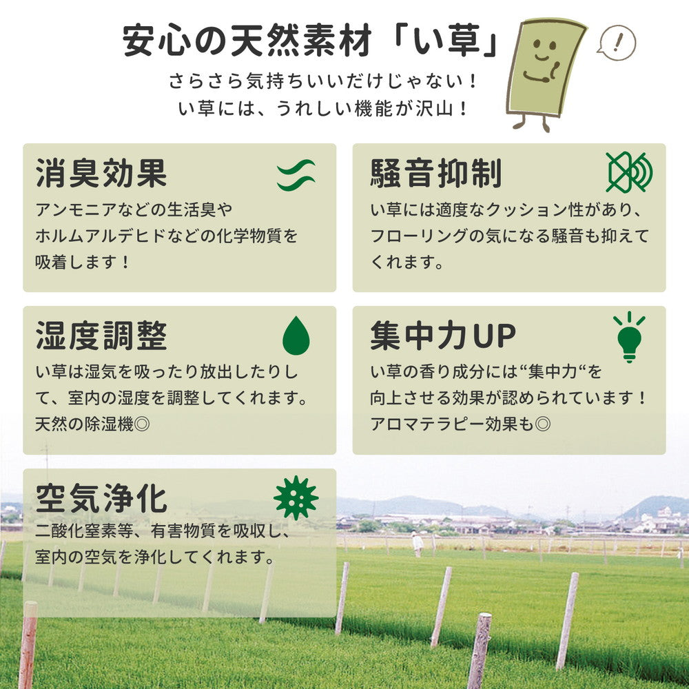 い草ラグ デニムパッチ はっ水機能付き 176×176cm 送料無料
