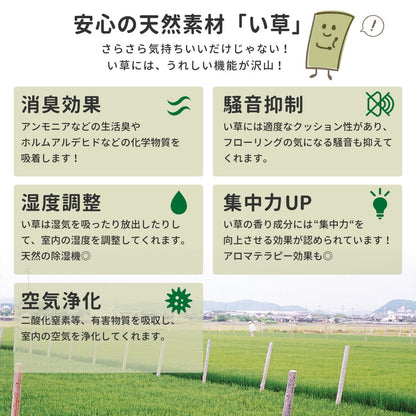 い草ラグ デニムパッチ はっ水機能付き 176×176cm 送料無料