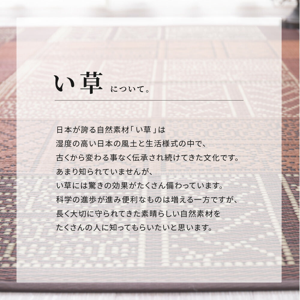 い草ラグ 伊勢 176×176cm 送料無料