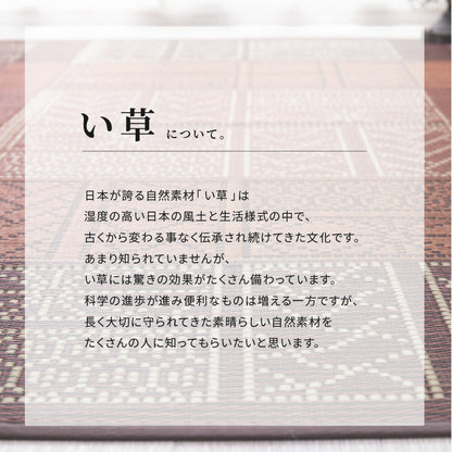い草ラグ 伊勢 176×176cm 送料無料